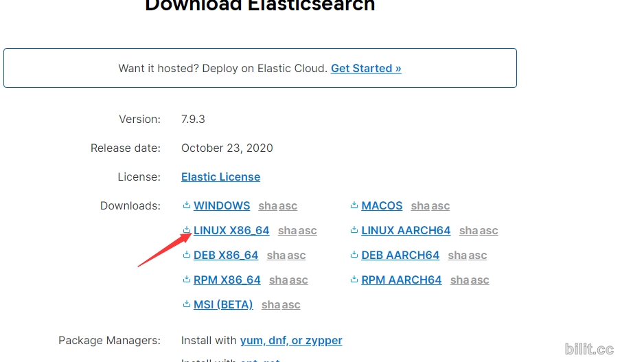 linux centos7  安装elasticsearch